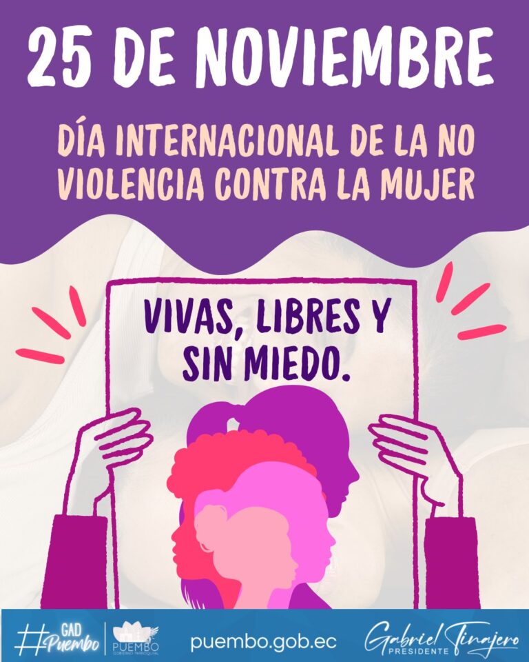 Día Internacional de la No Violencia Contra la Mujer – Puembo Gobierno ...